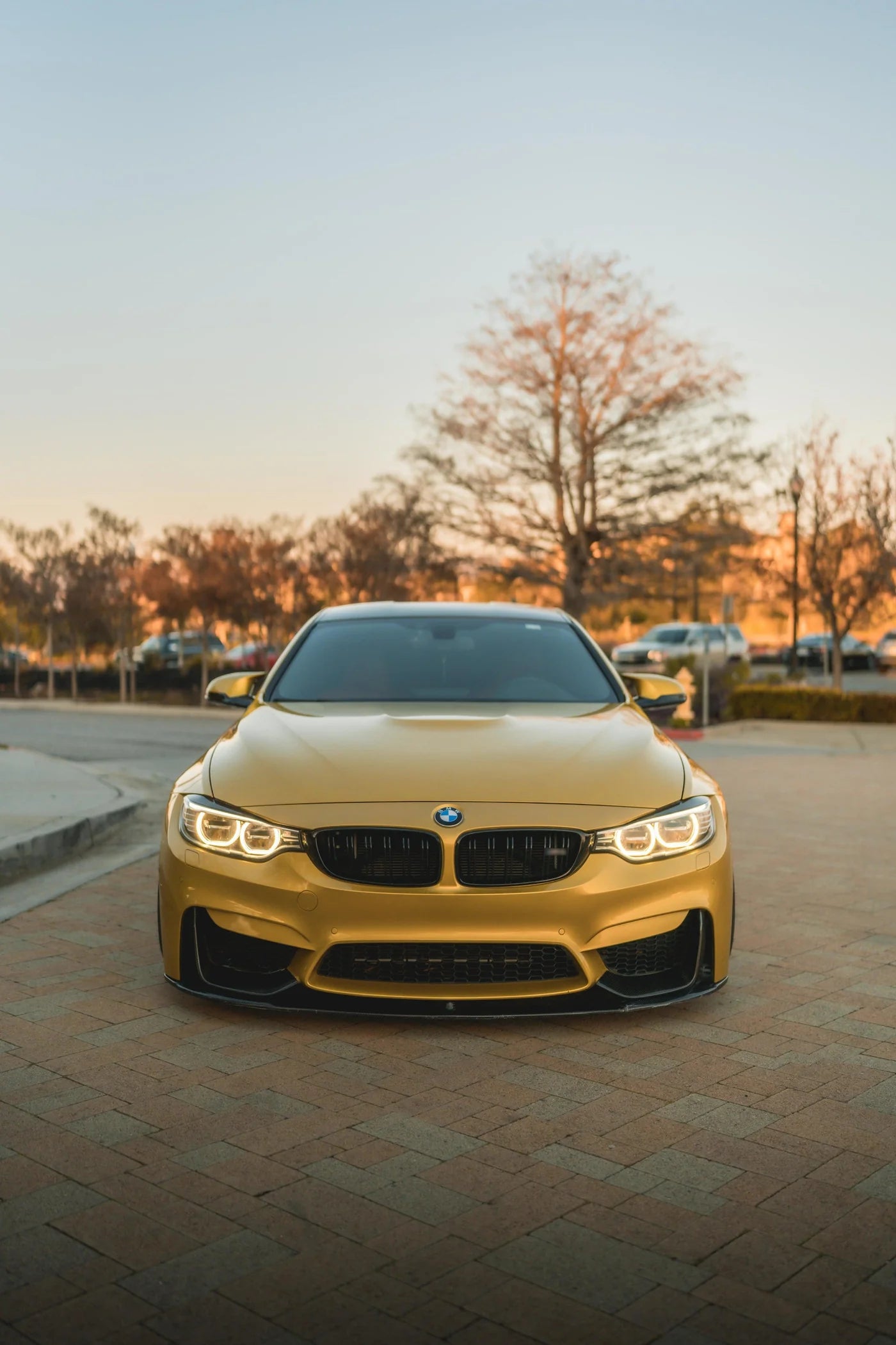 MP Style Carbon Fiber Front Lip - BMW F80 M3 & F82 / F83 M4